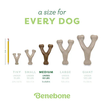 Benebone Benebone Chicken Wishbone Dog Chew Toy