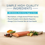Blue Buffalo Co. BLUE Basics Limited Ingredient Salmon & Potato Recipe Dry Dog Food, 22lb