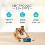 Blue Buffalo Co. BLUE Basics Limited Ingredient Turkey & Potato Recipe Dry Dog Food, 22lb
