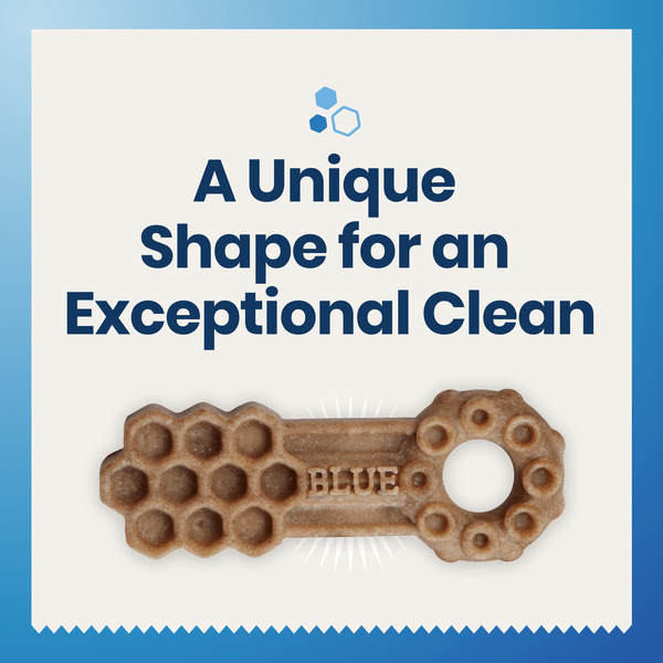 Blue Buffalo Co. BLUE Dental Chews