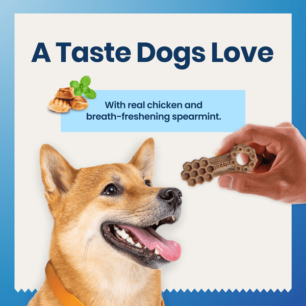 Blue Buffalo Co. BLUE Dental Chews