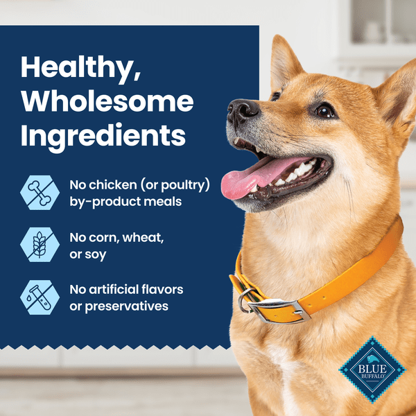 Blue Buffalo Co. BLUE Dental Chews