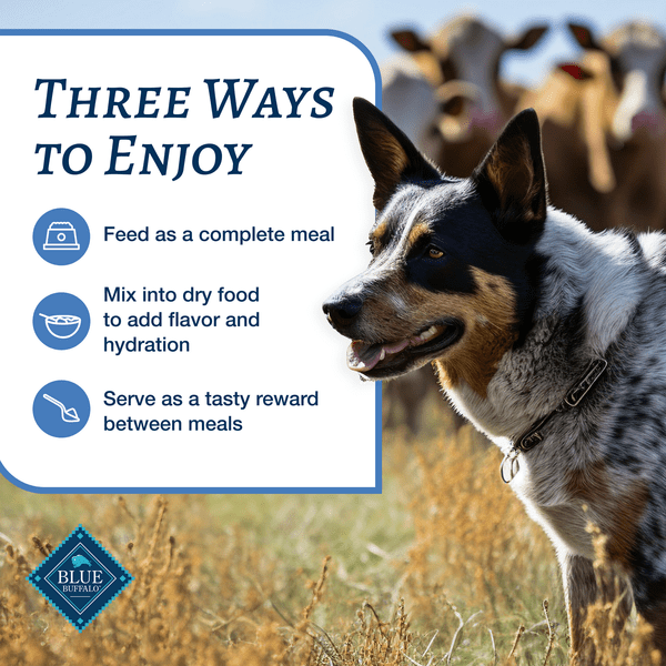Blue Buffalo Co. BLUE Family Favorite Recipes Sunday Chicken Dinner Canned Dog Food