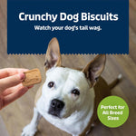 Blue Buffalo Co. BLUE Health Bars Natural Crunchy Dog Treats Biscuits; Apple & Yogurt