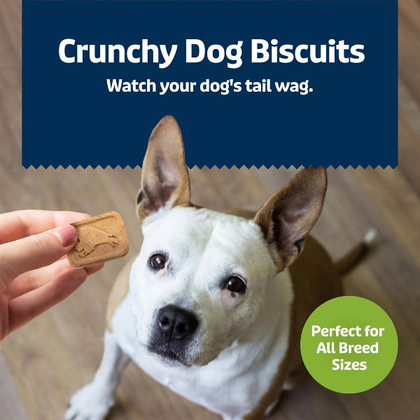 Blue Buffalo Co. BLUE Health Bars Natural Crunchy Dog Treats Biscuits; Apple & Yogurt