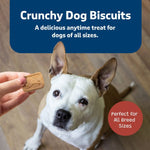Blue Buffalo Co. BLUE Health Bars Natural Crunchy Dog Treats Biscuits; Bacon, Egg & Cheese