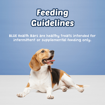 Blue Buffalo Co. BLUE Health Bars Natural Crunchy Dog Treats Biscuits; Banana & Yogurt
