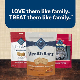 Blue Buffalo Co. BLUE Health Bars Natural Crunchy Dog Treats Biscuits; Pumpkin & Cinnamon, 16oz