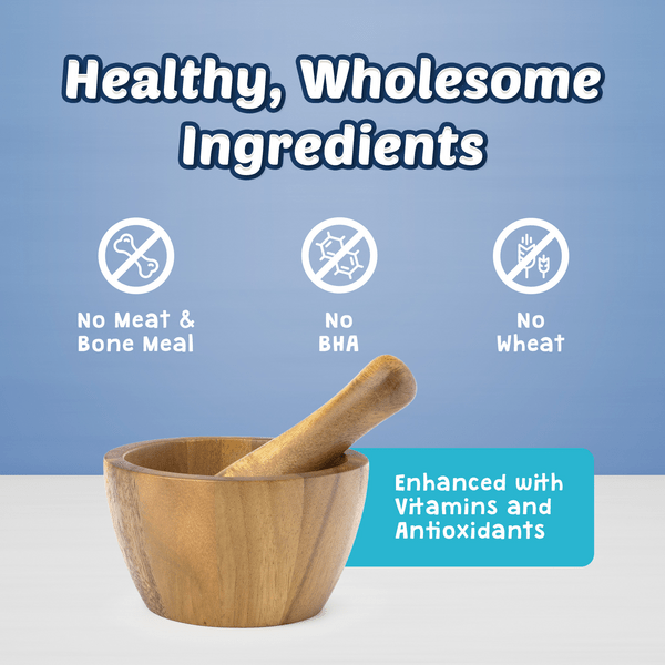 BLUE Health Bars Natural Crunchy Dog Treats Biscuits Pumpkin Cinnam Petland Canada