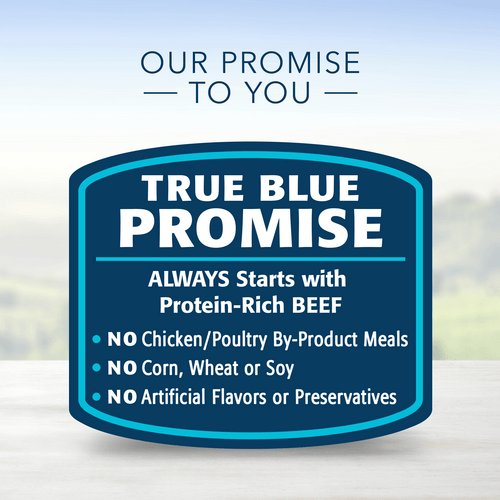 Blue Buffalo Co. BLUE Homestyle Recipe Beef Dinner Canned Dog Food