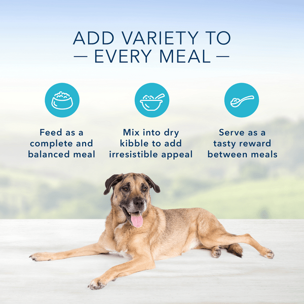 Blue Buffalo Co. BLUE Homestyle Recipe Chicken Dinner Senior Canned Dog Food