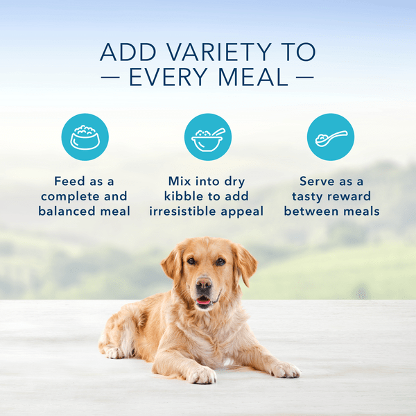 Blue Buffalo Co. BLUE Homestyle Recipe Fish & Sweet Potato Dinner Canned Dog Food