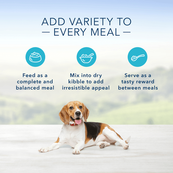 Blue Buffalo Co. BLUE Homestyle Recipe Healthy Weight Chicken Dinner Canned Dog Food