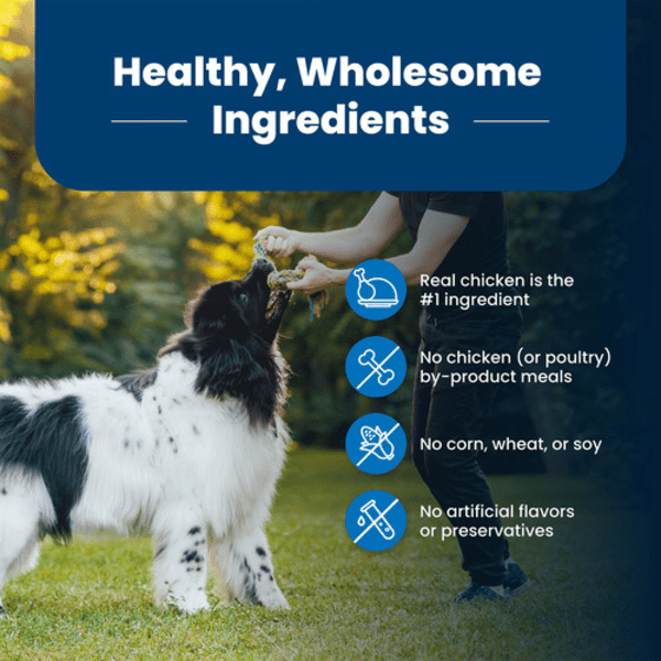 Blue Buffalo Co. BLUE Life Protection Formula Chicken & Brown Rice Recipe Dry Dog Food