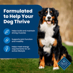 Blue Buffalo Co. BLUE Life Protection Formula Chicken & Brown Rice Recipe Dry Dog Food
