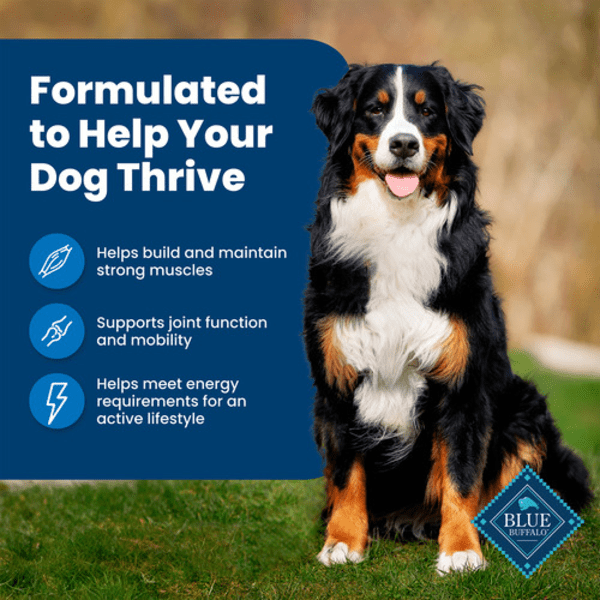 Blue Buffalo Co. BLUE Life Protection Formula Chicken & Brown Rice Recipe Dry Dog Food