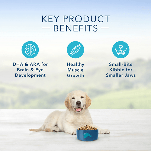 Blue wilderness dog food puppy online