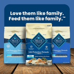 Blue Buffalo Co. BLUE Life Protection Formula Chicken & Brown Rice Recipe Dry Senior Dog Food