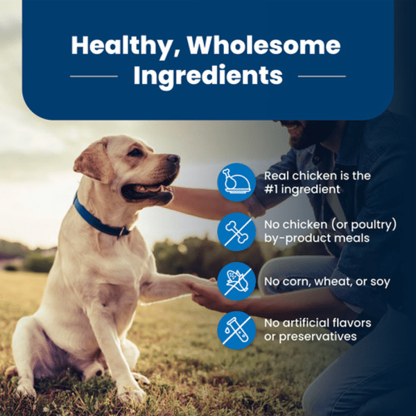 Blue Buffalo Co. BLUE Life Protection Formula Chicken & Brown Rice Recipe Dry Senior Dog Food