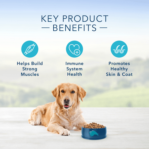 Blue Buffalo Co. BLUE Life Protection Formula Lamb & Brown Rice Recipe Dry Dog Food
