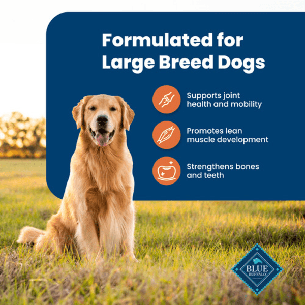 Blue Buffalo Co. BLUE Life Protection Formula Large Breed Chicken & Brown Rice Recipe Dry Dog Food, 26lb