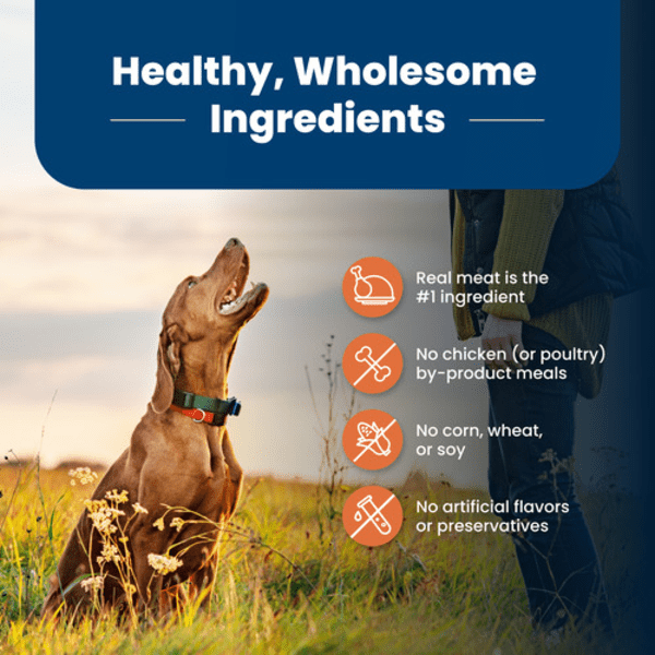 Blue Buffalo Co. BLUE Life Protection Formula Large Breed Chicken & Brown Rice Recipe Dry Dog Food, 26lb