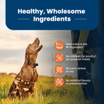Blue Buffalo Co. BLUE Life Protection Formula Large Breed Chicken & Brown Rice Recipe Dry Dog Food, 26lb