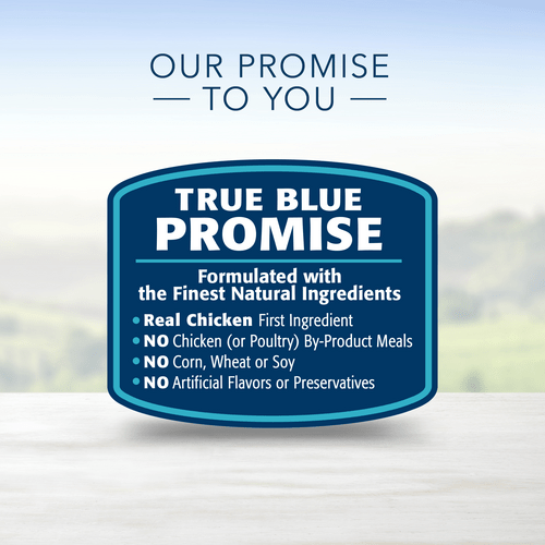 BLUE Life Protection Formula Large Breed Chicken Brown Rice Recipe Dry Dog Food 26lb