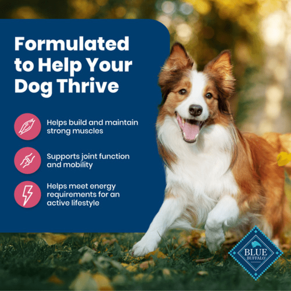 Blue Buffalo Co. BLUE Life Protection Formula Salmon & Brown Rice Recipe Dry Dog Food, 26lb