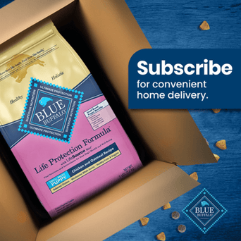 Blue Buffalo Co. BLUE Life Protection Formula Small Breed Chicken & Oatmeal Recipe Dry Puppy Food, 6lb