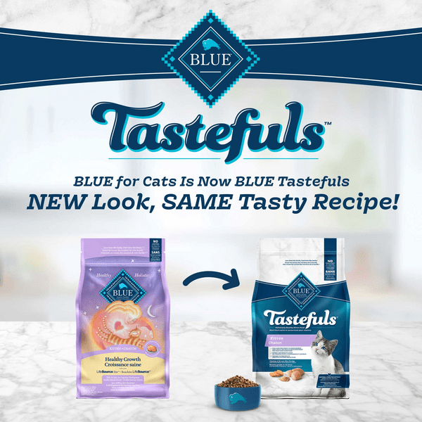 Blue buffalo shop kitten healthy growth