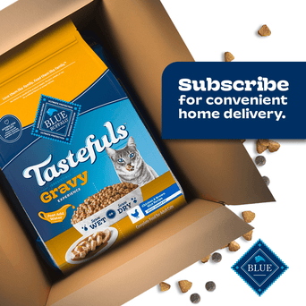 Blue Buffalo Co. BLUE Tastefuls Salmon & Brown Rice Recipe Dry Cat Food, 7lb