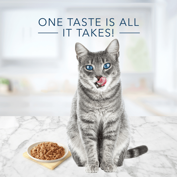 Blue Buffalo Co. BLUE Tastefuls Salmon Entree Pate Canned Cat Food