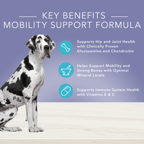 Blue True Solutions Mobility Care Adult Canned Dog Food Petland Canada