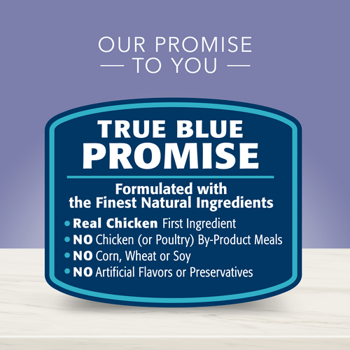 BLUE True Solutions Mobility Care Adult Dry Dog Food 22lb