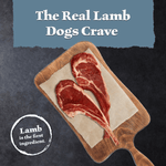 Blue Buffalo Co. BLUE Wilderness Chicken-Free Lamb Recipe Dry Dog Food