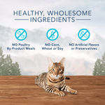 Blue Buffalo Co. BLUE Wilderness Grain Free Crunchy Cat Treats; Tasty Trout Flavor