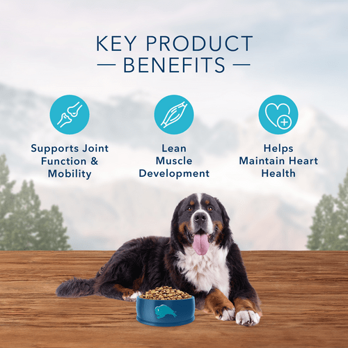 BLUE Wilderness Chicken Adult Dog Food 24lb