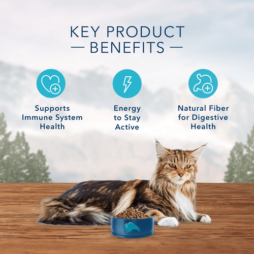 Digestive Care Blue Wilderness Can Cat Food Blue True Solutions