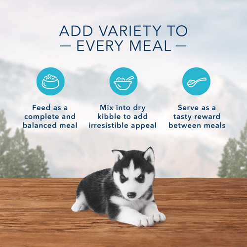Blue wilderness puppy wet food hot sale