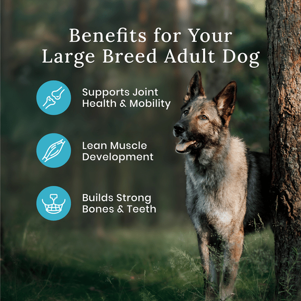 Blue Buffalo Co. BLUE Wilderness Large Breed Beef Recipe with Grains Dry Dog Food, 24lb