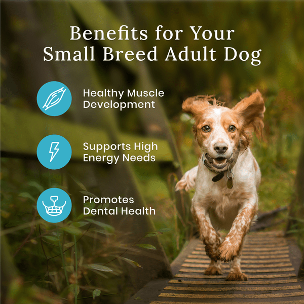 Blue Buffalo Co. BLUE Wilderness Small Breed Chicken Recipe with Grains Dry Dog Food