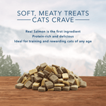 Blue Buffalo Co. BLUE Wilderness Soft-Moist Cat Treats; Chicken & Salmon