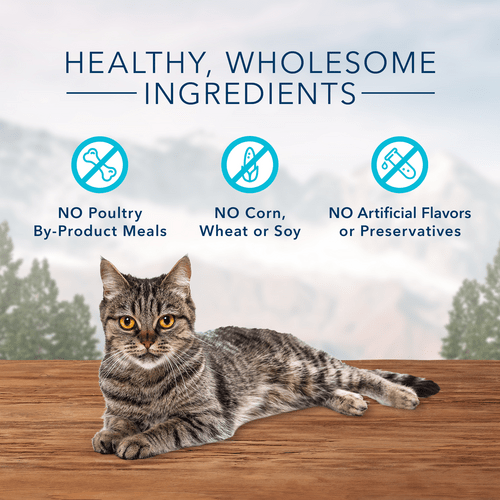 Blue Buffalo Co. BLUE Wilderness Soft-Moist Cat Treats; Chicken & Turkey