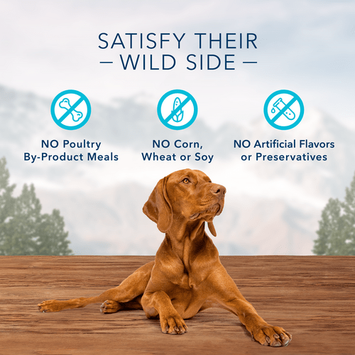 Blue Buffalo Co. BLUE Wilderness Trail Treats Grain Free Biscuits; Turkey Recipe