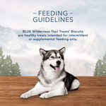 Blue Buffalo Co. BLUE Wilderness Trail Treats Grain Free Biscuits; Turkey Recipe