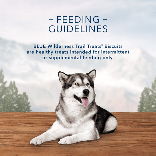 Blue Buffalo Co. BLUE Wilderness Trail Treats Grain Free Biscuits; Turkey Recipe