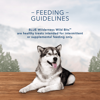 Blue Buffalo Co. BLUE Wilderness Trail Treats Wild Bits Duck Recipe Dog Training Treats