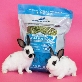 Blue Mountain Hay Blue Mountain Hay High-Altitude Alfalfa Hay