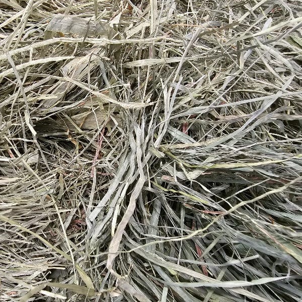 Blue Mountain Hay Blue Mountain Hay High-Altitude Orchard Grass Hay
